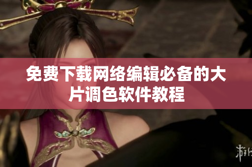 免费下载网络编辑必备的大片调色软件教程