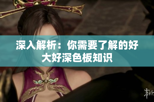 深入解析：你需要了解的好大好深色板知识