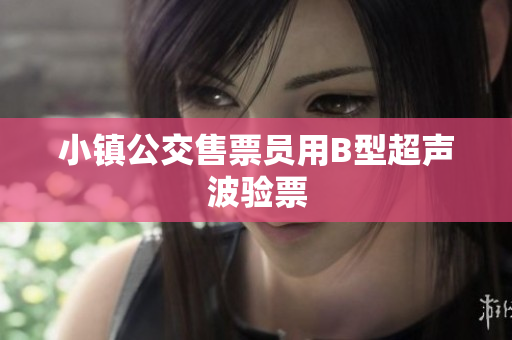 小镇公交售票员用B型超声波验票