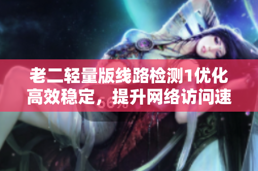 老二轻量版线路检测1优化高效稳定，提升网络访问速度