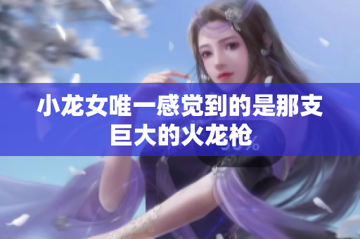 小龙女唯一感觉到的是那支巨大的火龙枪