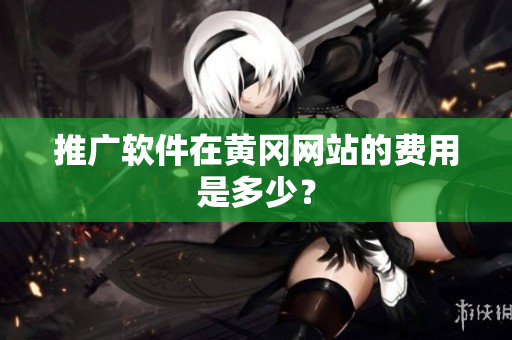 推广软件在黄冈网站的费用是多少？