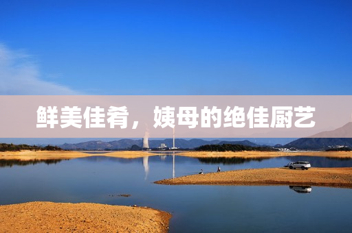鲜美佳肴，姨母的绝佳厨艺