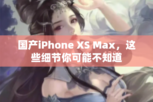 国产iPhone XS Max，这些细节你可能不知道