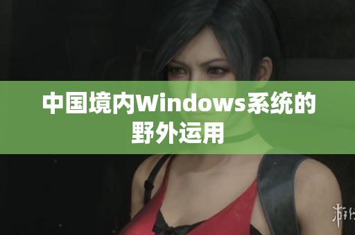 中国境内Windows系统的野外运用