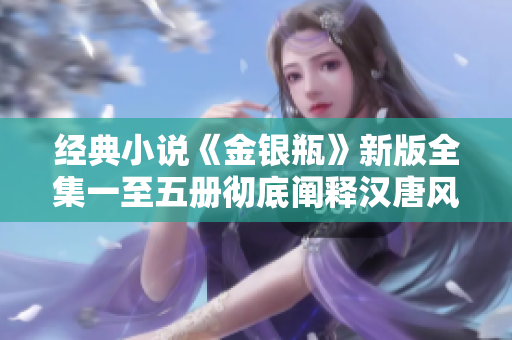 经典小说《金银瓶》新版全集一至五册彻底阐释汉唐风情