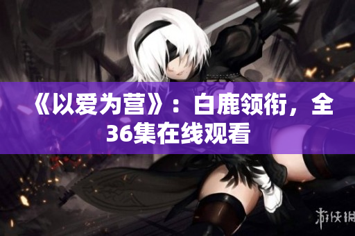 《以爱为营》：白鹿领衔，全36集在线观看
