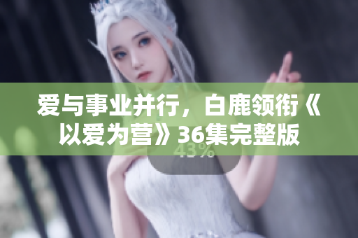 爱与事业并行，白鹿领衔《以爱为营》36集完整版