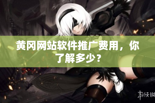 黄冈网站软件推广费用，你了解多少？