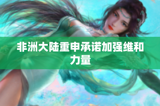 非洲大陆重申承诺加强维和力量