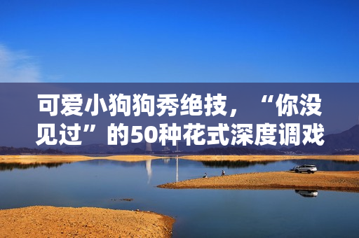 可爱小狗狗秀绝技，“你没见过”的50种花式深度调戏！