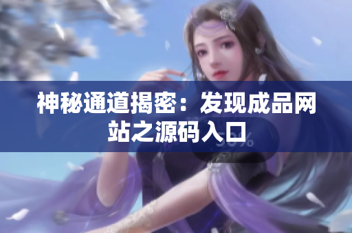 神秘通道揭密：发现成品网站之源码入口