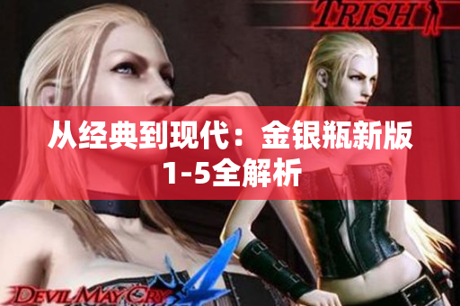 从经典到现代：金银瓶新版1-5全解析