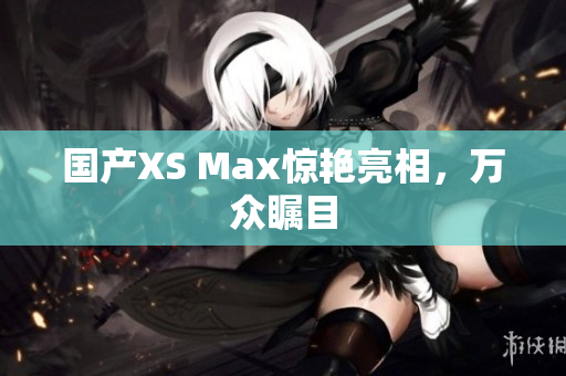 国产XS Max惊艳亮相，万众瞩目