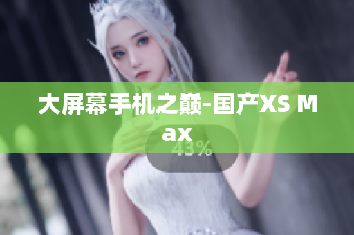 大屏幕手机之巅-国产XS Max