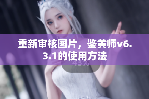 重新审核图片，鉴黄师v6.3.1的使用方法