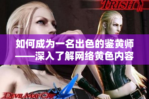 如何成为一名出色的鉴黄师——深入了解网络黄色内容识别技能