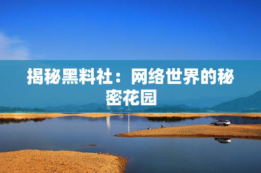 揭秘黑料社：网络世界的秘密花园