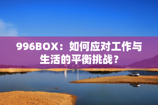 996BOX：如何应对工作与生活的平衡挑战？