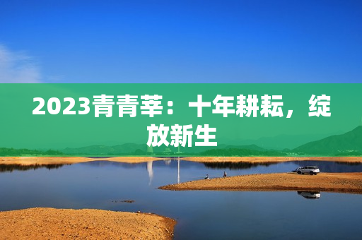 2023青青莘：十年耕耘，绽放新生