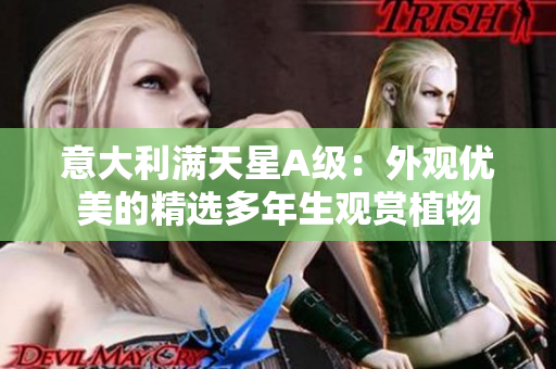 意大利满天星A级：外观优美的精选多年生观赏植物
