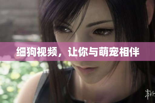 细狗视频，让你与萌宠相伴
