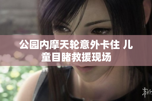 公园内摩天轮意外卡住 儿童目睹救援现场