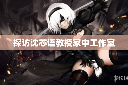 探访沈芯语教授家中工作室