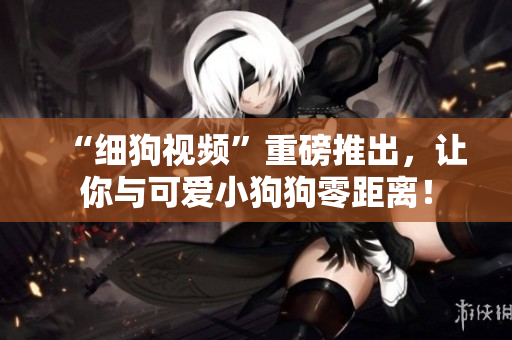 “细狗视频”重磅推出，让你与可爱小狗狗零距离！