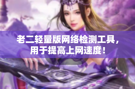 老二轻量版网络检测工具，用于提高上网速度！