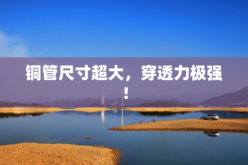 铜管尺寸超大，穿透力极强！