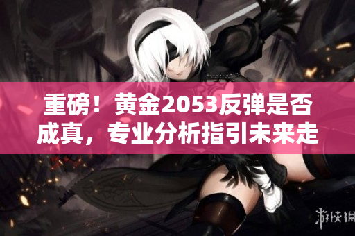 重磅！黄金2053反弹是否成真，专业分析指引未来走向