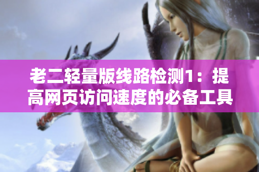 老二轻量版线路检测1：提高网页访问速度的必备工具