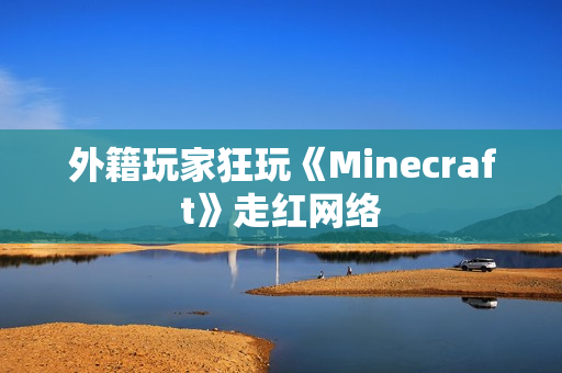 外籍玩家狂玩《Minecraft》走红网络