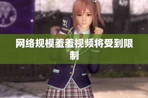 网络规模羞羞视频将受到限制