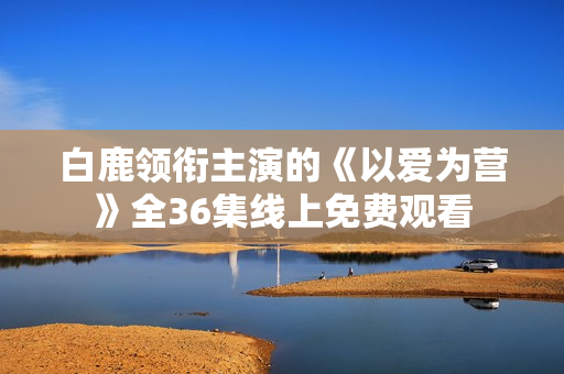 白鹿领衔主演的《以爱为营》全36集线上免费观看