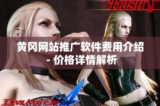 黄冈网站推广软件费用介绍 - 价格详情解析