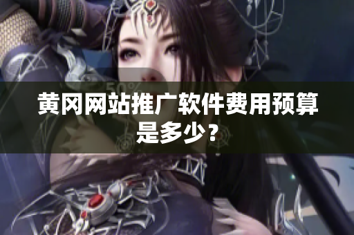 黄冈网站推广软件费用预算是多少？