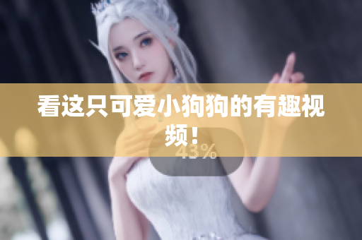 看这只可爱小狗狗的有趣视频！