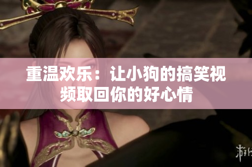 重温欢乐：让小狗的搞笑视频取回你的好心情