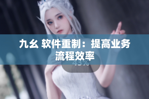 九幺 软件重制：提高业务流程效率