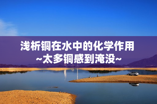 浅析铜在水中的化学作用 ~太多铜感到淹没~
