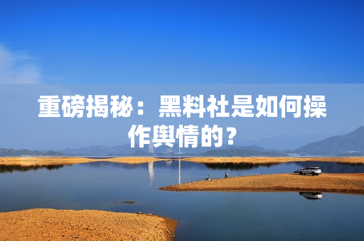 重磅揭秘：黑料社是如何操作舆情的？