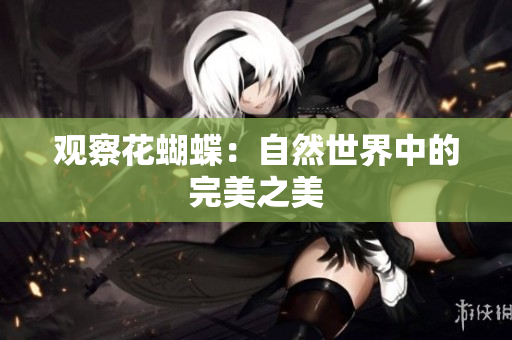 观察花蝴蝶：自然世界中的完美之美