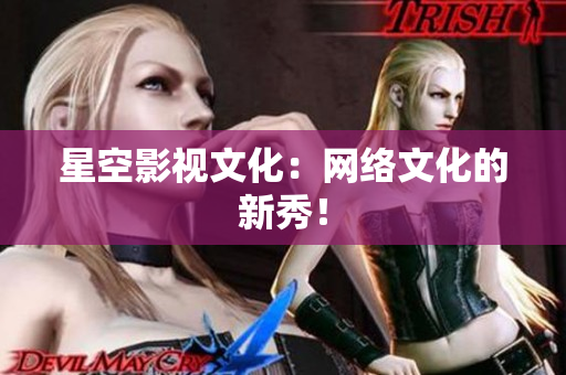 星空影视文化：网络文化的新秀！