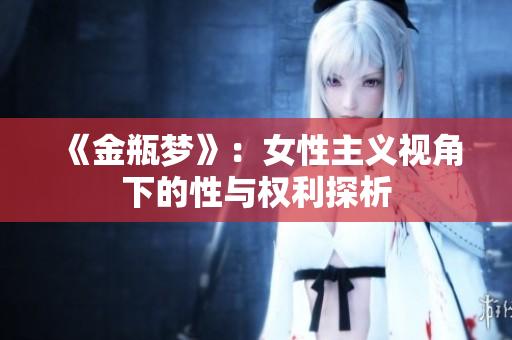 《金瓶梦》：女性主义视角下的性与权利探析
