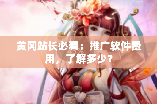 黄冈站长必看：推广软件费用，了解多少？