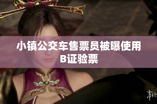小镇公交车售票员被曝使用B证验票