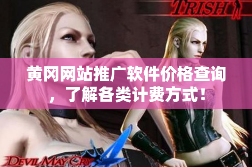 黄冈网站推广软件价格查询，了解各类计费方式！