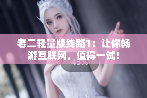 老二轻量版线路1：让你畅游互联网，值得一试！